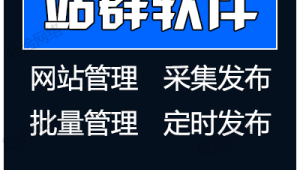 站群軟件排名（站群系統哪個好用）