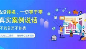 保定關鍵詞自動排名（關鍵詞優化哪家強）