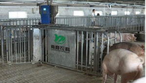 母豬智能飼喂站多少錢（電子飼喂站的缺點）