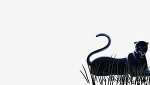 黑豹群控（黑豹群控騙局）