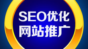 廣州做seo整站優(yōu)化公司_廣州品牌seo推廣