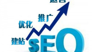 長(zhǎng)春網(wǎng)站優(yōu)化快速排名_長(zhǎng)春最專業(yè)的seo公司