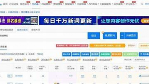 seo長(zhǎng)尾詞是什么意思（長(zhǎng)尾詞挖掘工具）