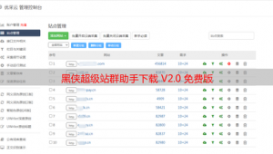 超級小海灣百科(超級小海灣支援卡事件)