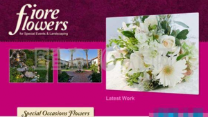 花店網(wǎng)站設(shè)計軟件哪個好（花店的網(wǎng)頁設(shè)計圖）