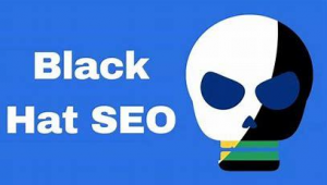黑帽seo軟件 site
