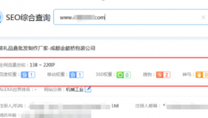 做站群需要注意什么（站群程序）