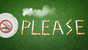 一個下載綠色軟件的網站叫什么(綠色軟件下載吧)