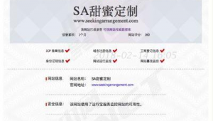 網站評分工具（app評分網站）