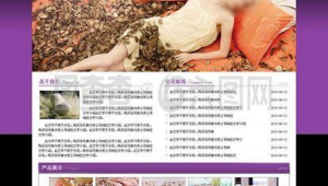 水晶網站設計軟件下載(水晶瀏覽器是什么意思)