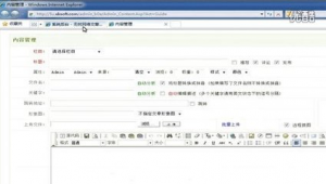 站群工具(站群玩法)