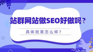 站群還能做嗎(站群賺錢嗎)