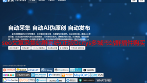 2021站群軟件(2020站群軟件)