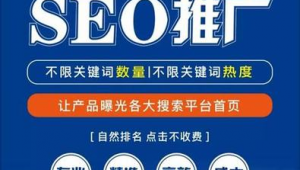 seo快速排名軟件推薦（seo快速排名軟件評價）