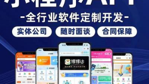 手機(jī)網(wǎng)頁開發(fā)軟件（手機(jī)端網(wǎng)站開發(fā)技術(shù)）