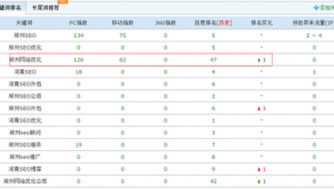 鄭州優化網站排名_鄭州專業網站優化系統