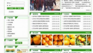 峽江seo網站優化招聘_峽江seo網站優化公司