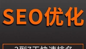 seo提升排名哪里便宜(seo做排名)